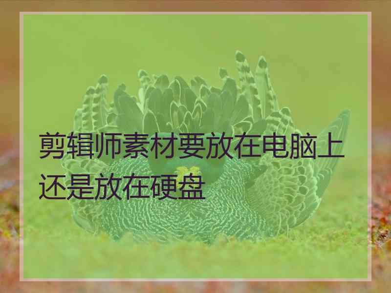 剪辑师素材要放在电脑上还是放在硬盘