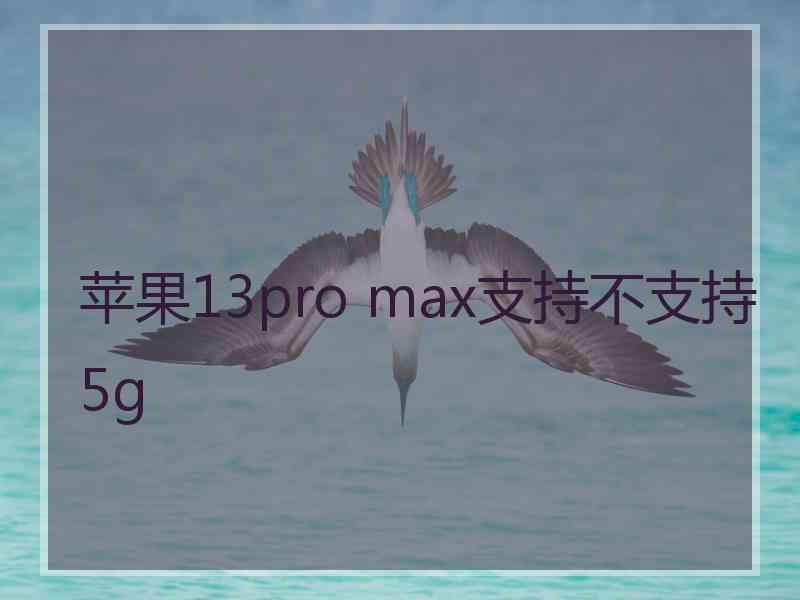 苹果13pro max支持不支持5g