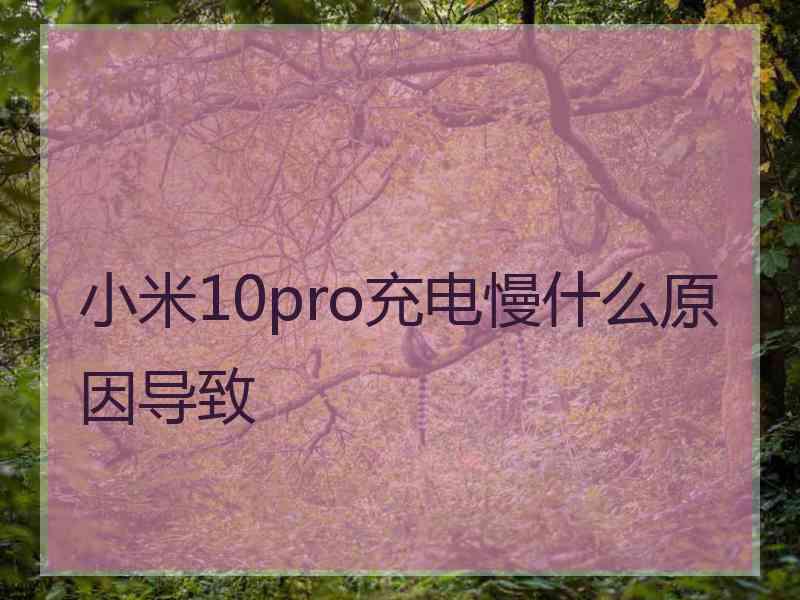 小米10pro充电慢什么原因导致