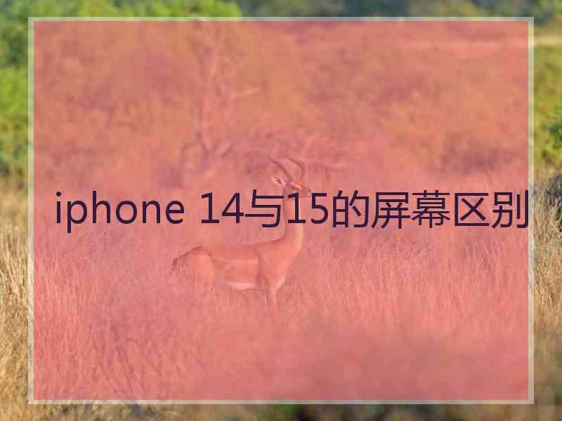 iphone 14与15的屏幕区别