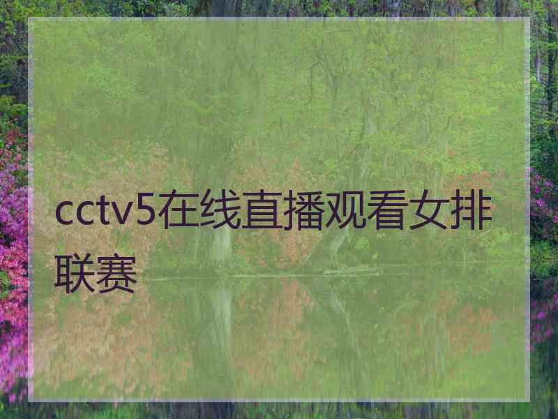 cctv5在线直播观看女排联赛