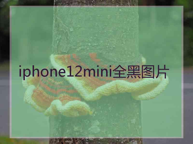 iphone12mini全黑图片