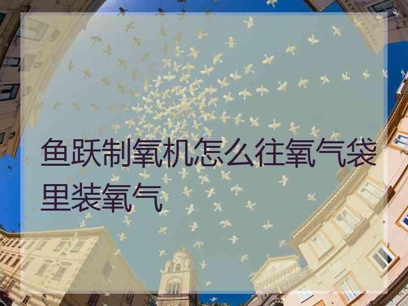 鱼跃制氧机怎么往氧气袋里装氧气