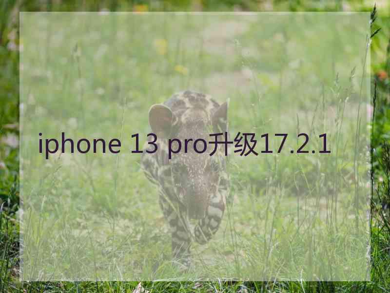 iphone 13 pro升级17.2.1