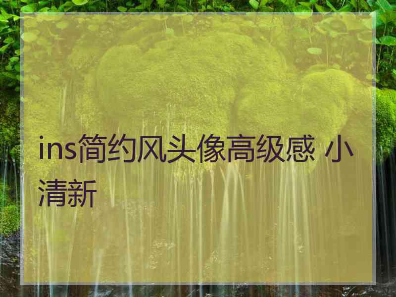 ins简约风头像高级感 小清新