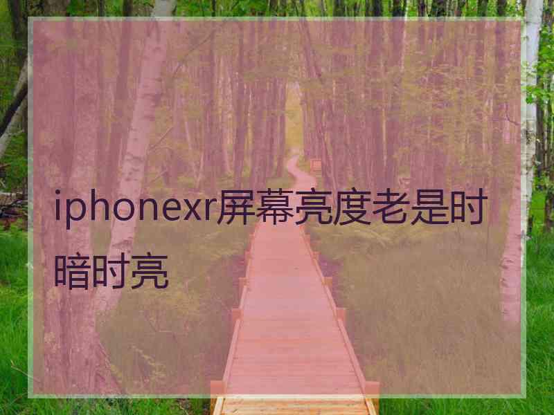 iphonexr屏幕亮度老是时暗时亮