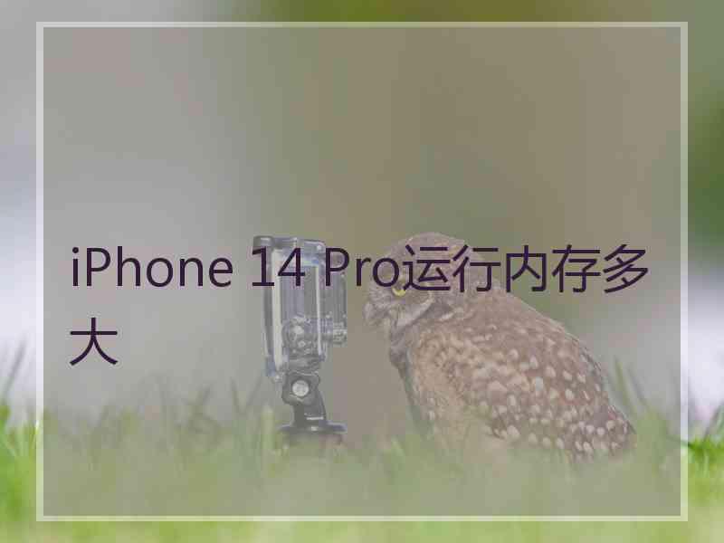 iPhone 14 Pro运行内存多大