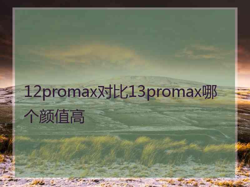 12promax对比13promax哪个颜值高