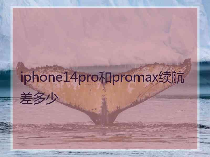 iphone14pro和promax续航差多少