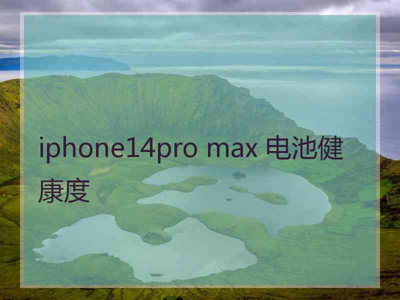 iphone14pro max 电池健康度