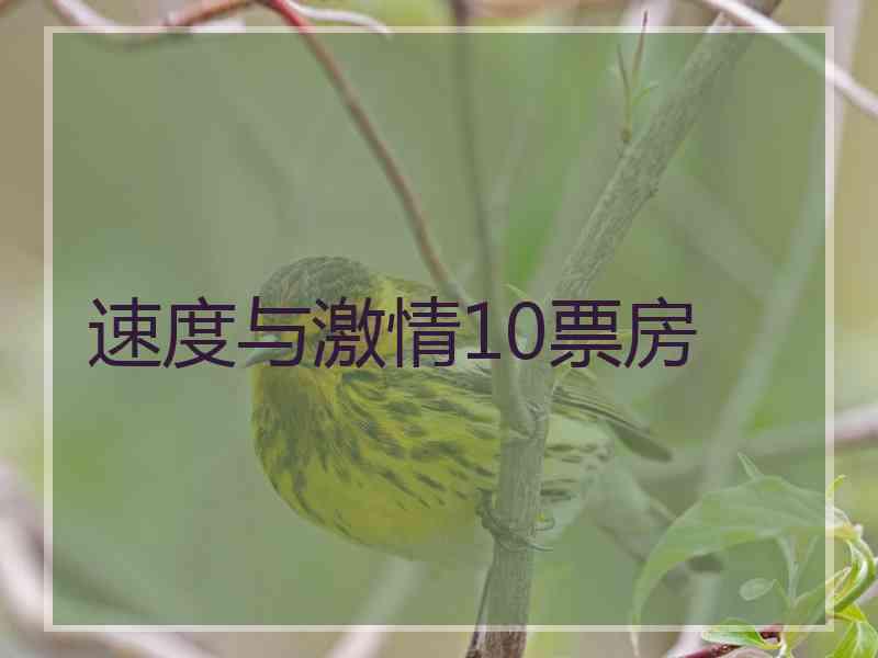 速度与激情10票房