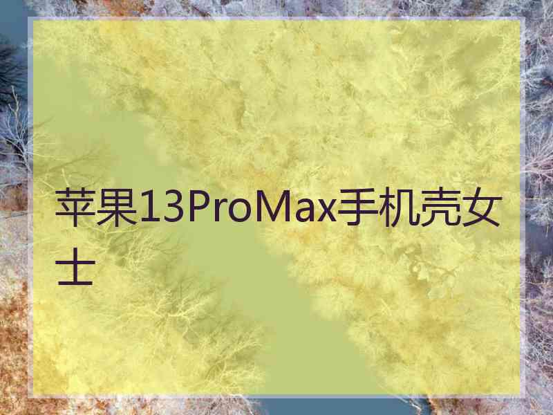 苹果13ProMax手机壳女士