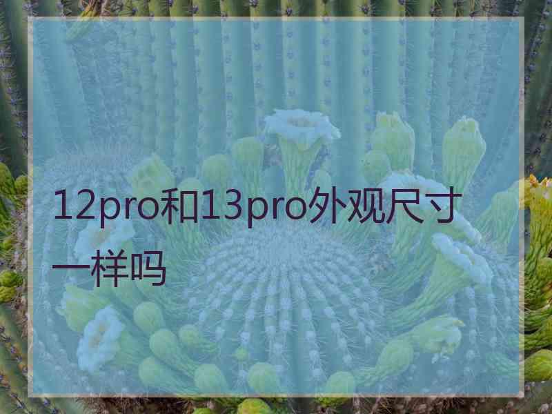 12pro和13pro外观尺寸一样吗