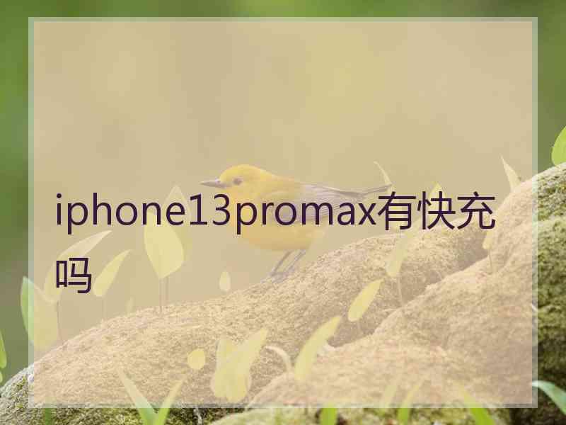 iphone13promax有快充吗