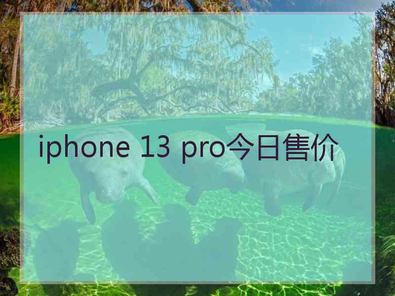 iphone 13 pro今日售价