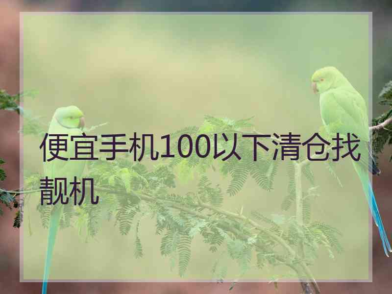 便宜手机100以下清仓找靓机