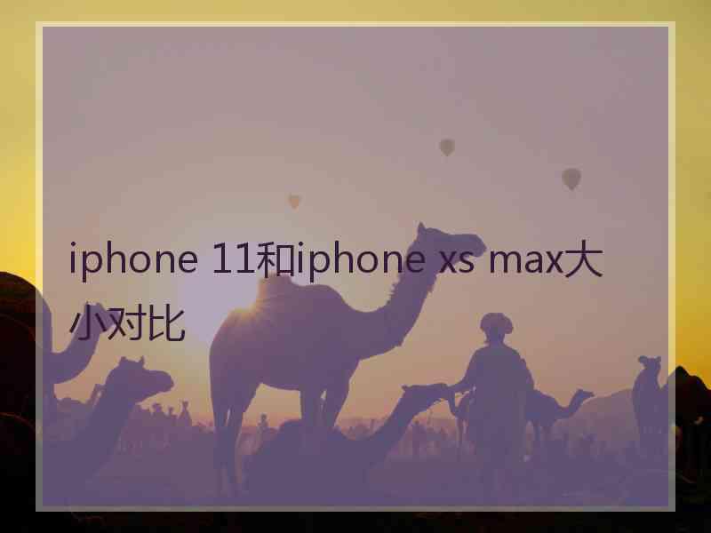 iphone 11和iphone xs max大小对比