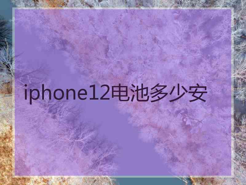 iphone12电池多少安