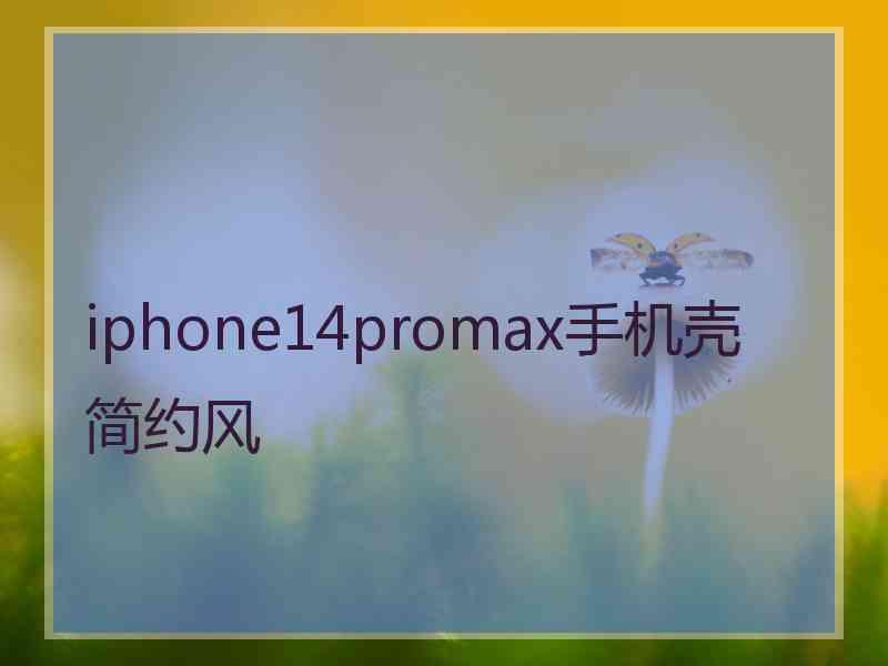 iphone14promax手机壳简约风