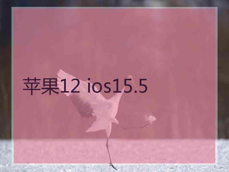 苹果12 ios15.5