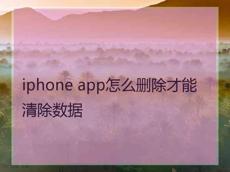 iphone app怎么删除才能清除数据