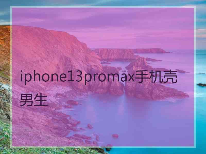 iphone13promax手机壳男生