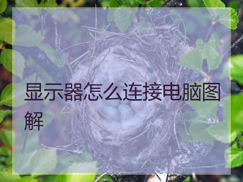 显示器怎么连接电脑图解