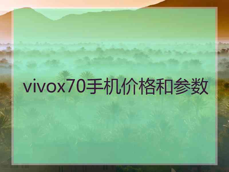 vivox70手机价格和参数