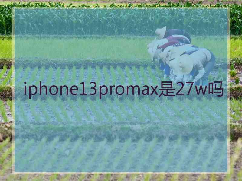 iphone13promax是27w吗