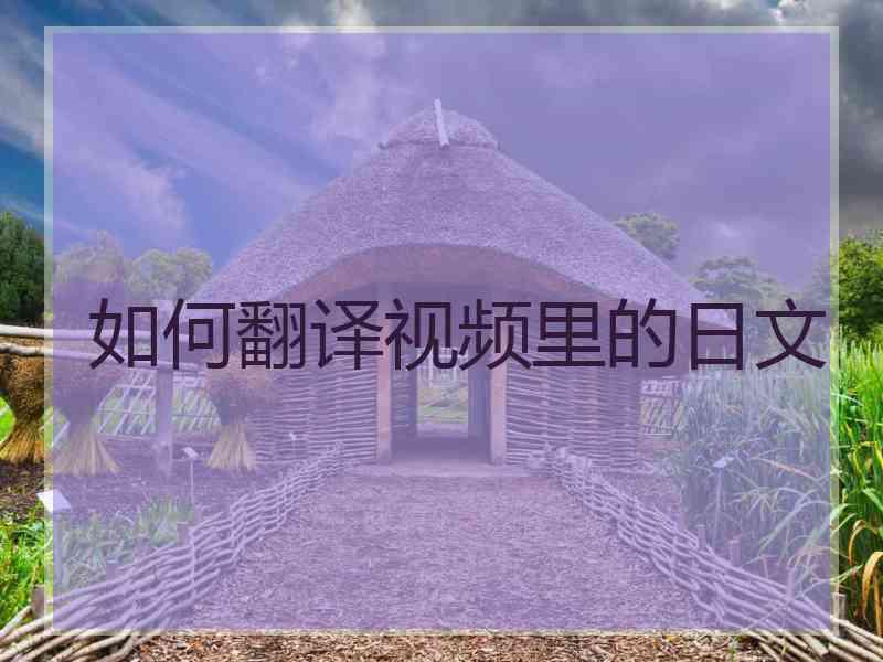 如何翻译视频里的日文