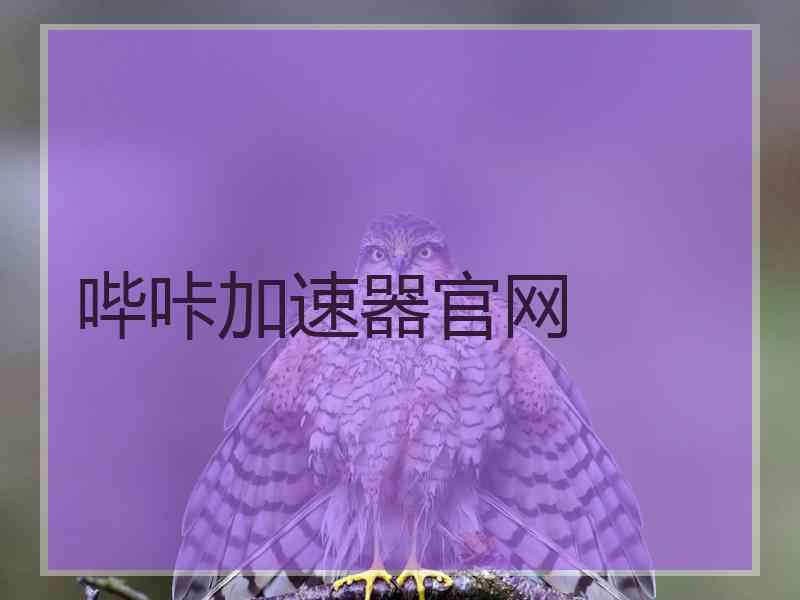 哔咔加速器官网