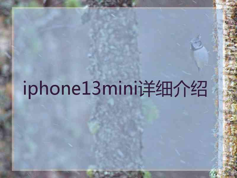 iphone13mini详细介绍