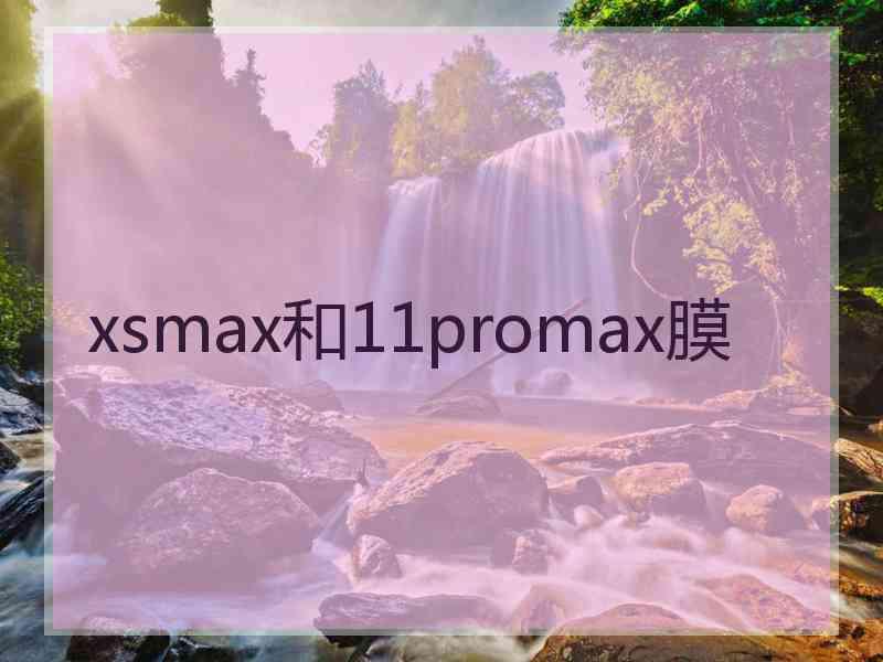 xsmax和11promax膜