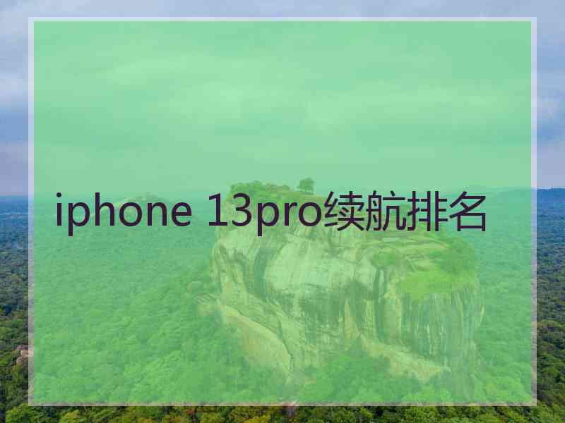 iphone 13pro续航排名