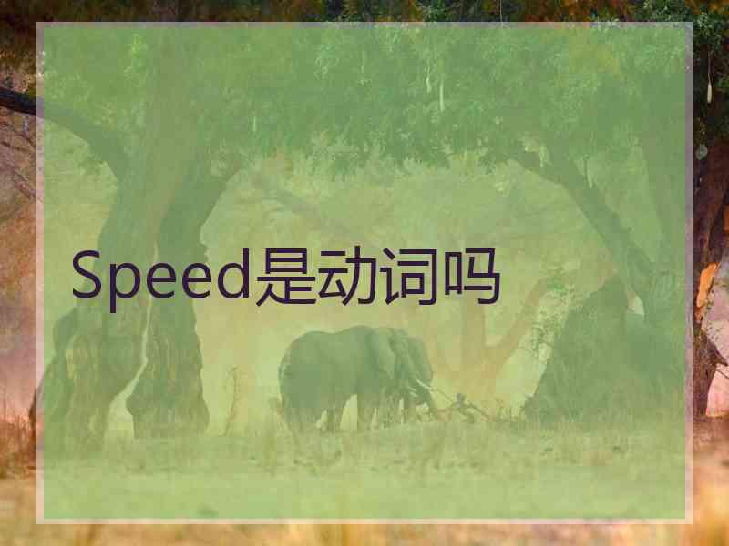 Speed是动词吗