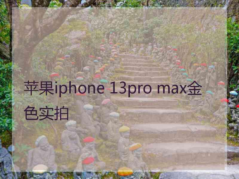 苹果iphone 13pro max金色实拍