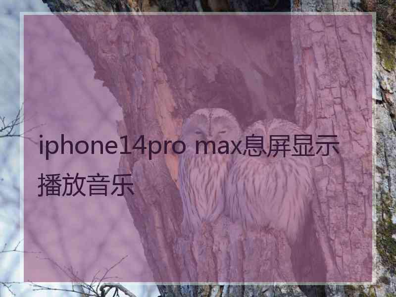 iphone14pro max息屏显示播放音乐