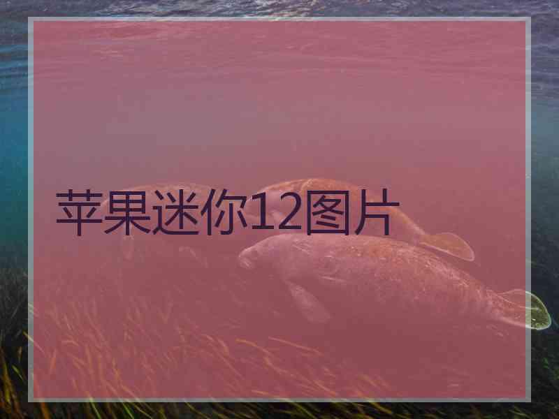 苹果迷你12图片