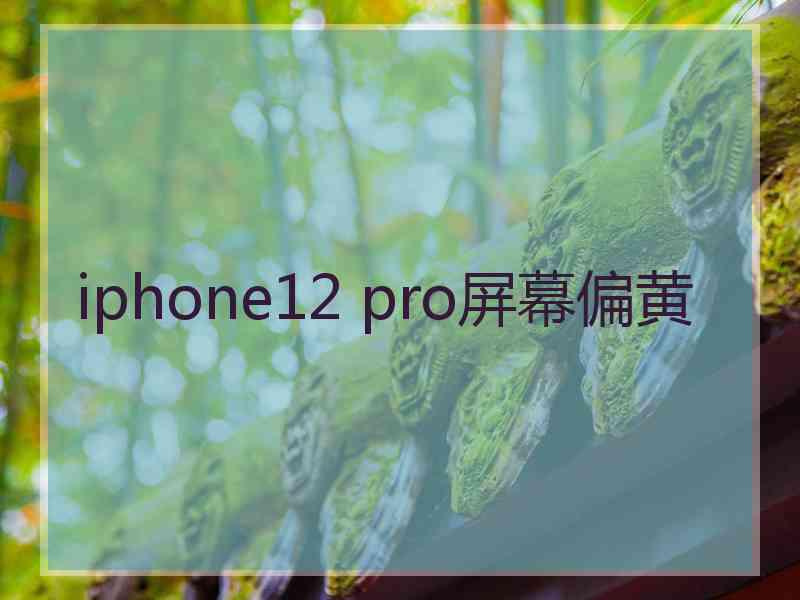 iphone12 pro屏幕偏黄