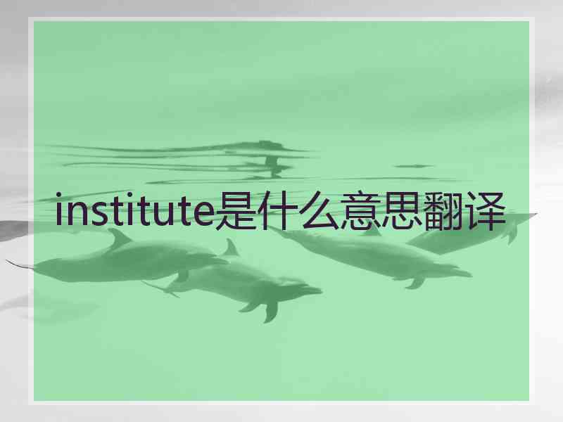 institute是什么意思翻译