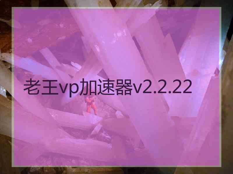 老王vp加速器v2.2.22