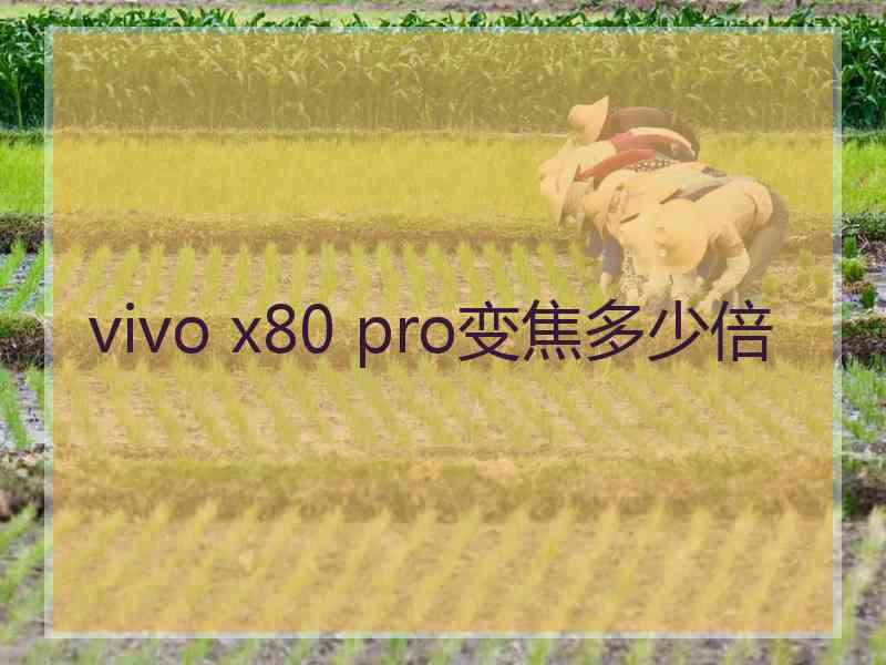 vivo x80 pro变焦多少倍