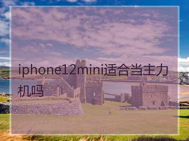 iphone12mini适合当主力机吗