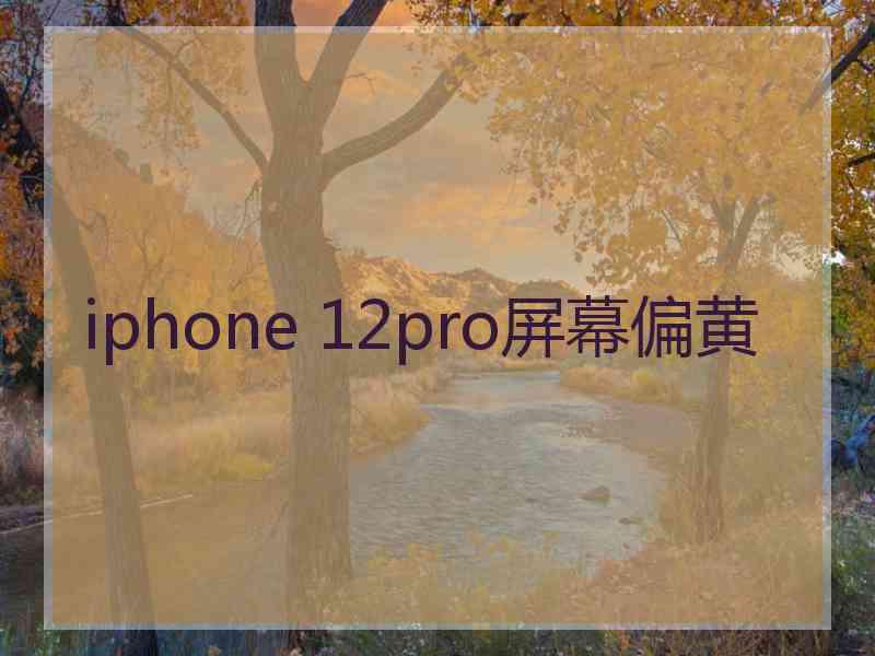 iphone 12pro屏幕偏黄