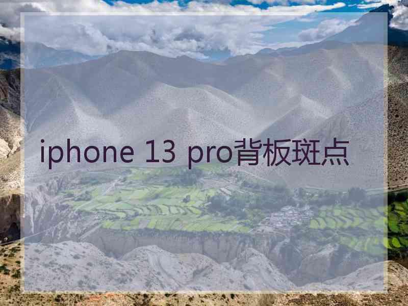 iphone 13 pro背板斑点