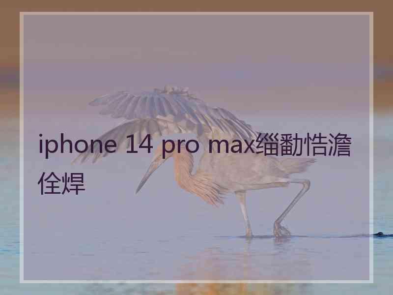 iphone 14 pro max缁勫悎澹佺焊