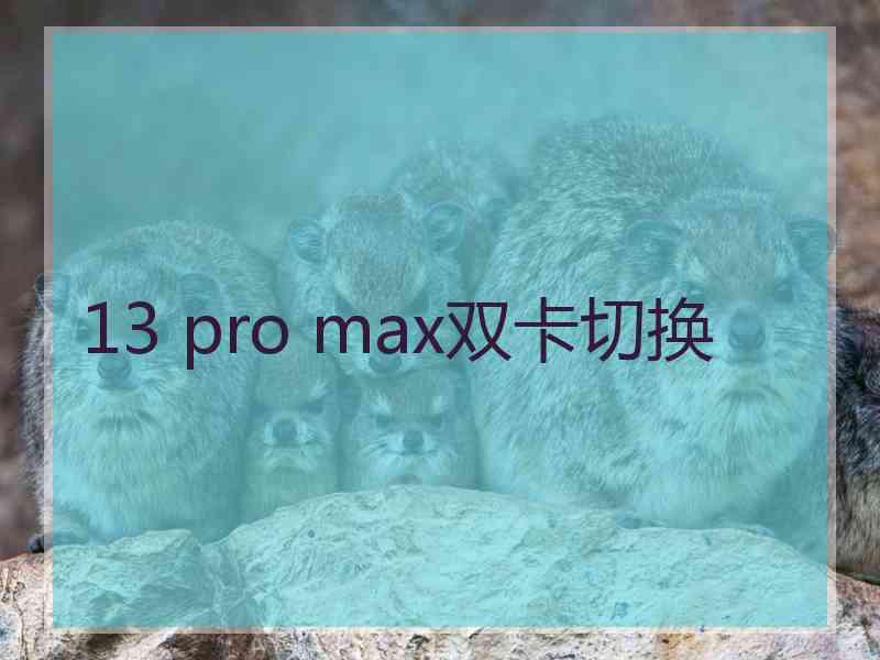 13 pro max双卡切换