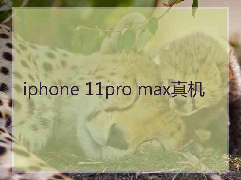 iphone 11pro max真机