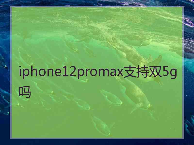 iphone12promax支持双5g吗