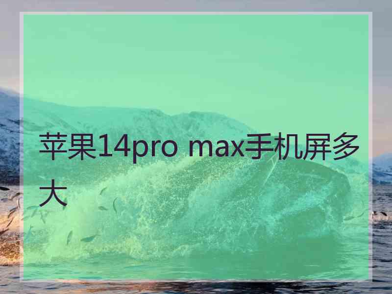 苹果14pro max手机屏多大